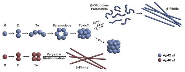 Fig. 16