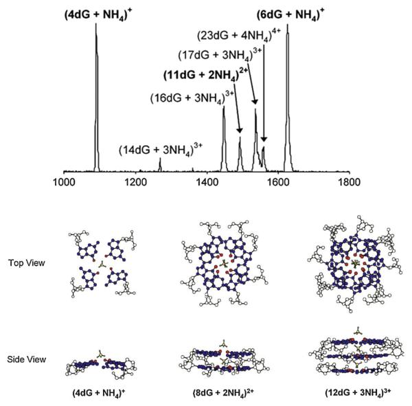 Fig. 11