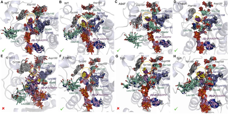 Fig. 9.