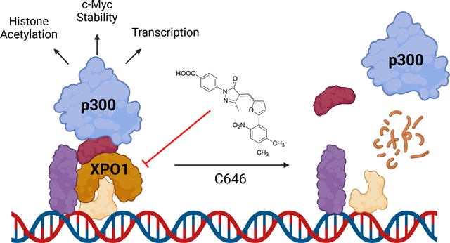 graphic file with name nihms-2001107-f0001.jpg