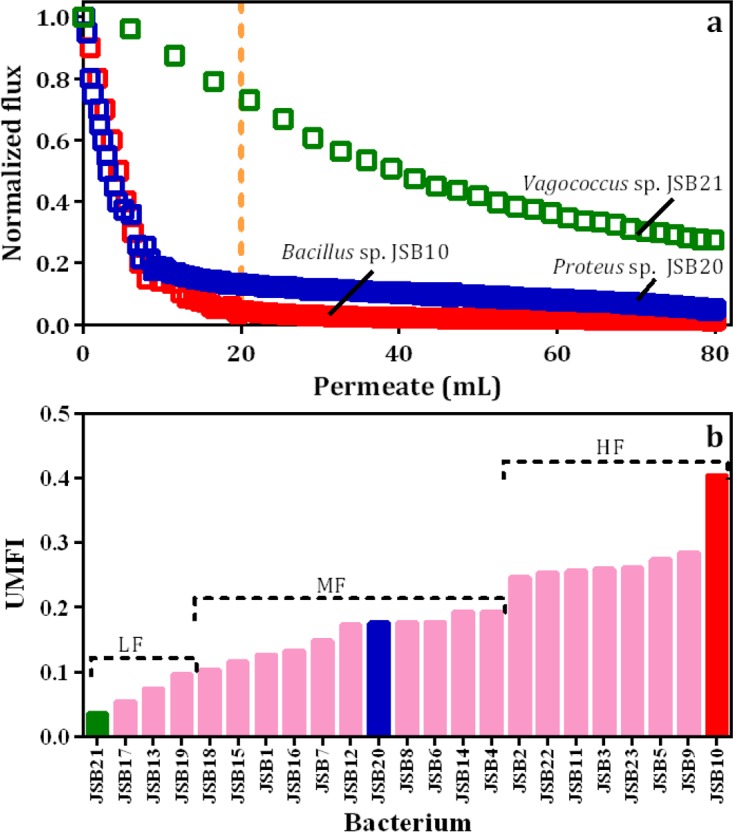 FIG 3