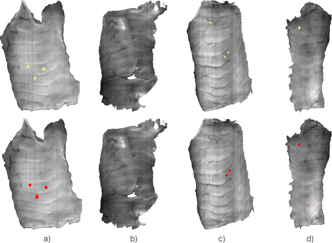 Fig. 1