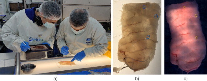 Fig. 3