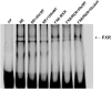 Fig.9
