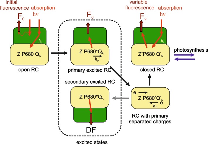 Fig. 6