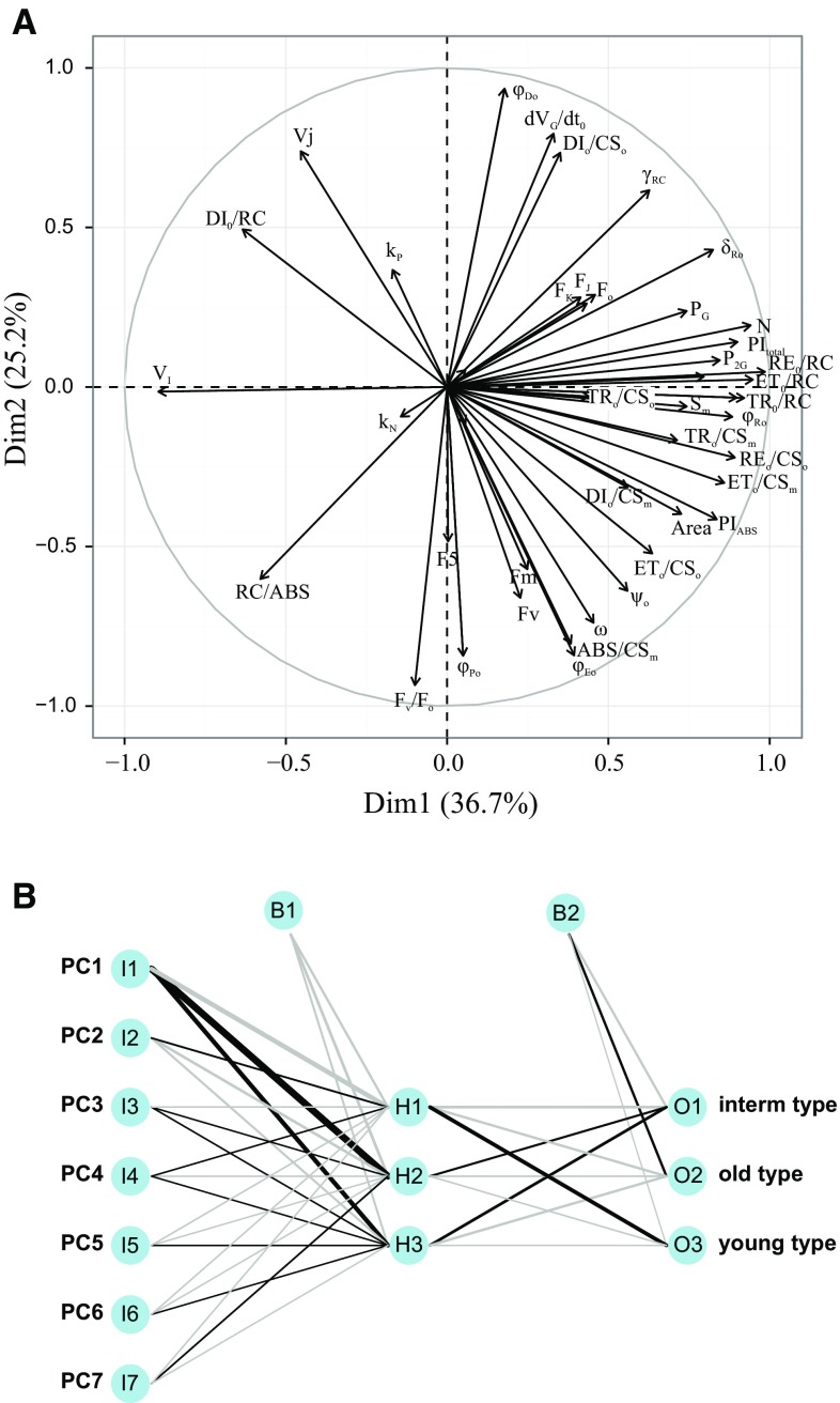 Fig. 11