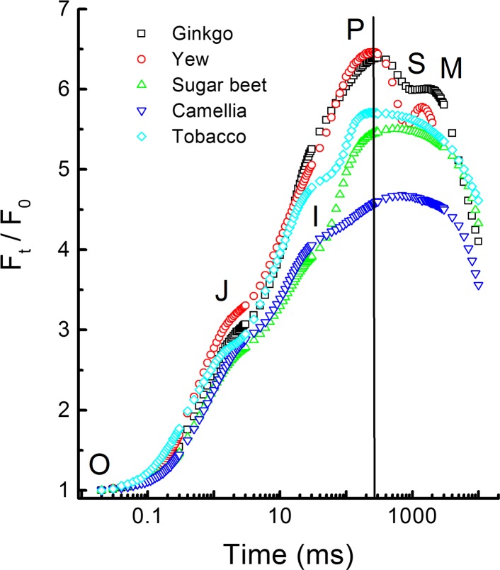 Fig. 1