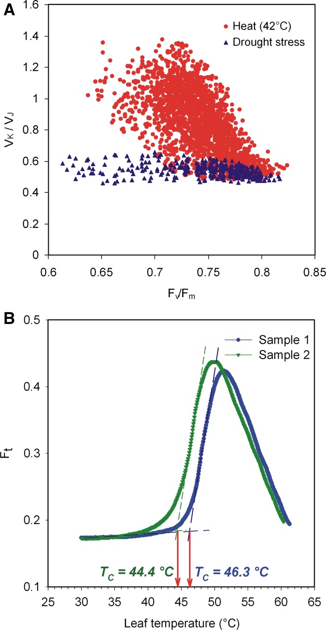 Fig. 10