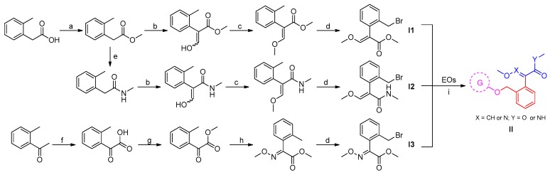 Scheme 1