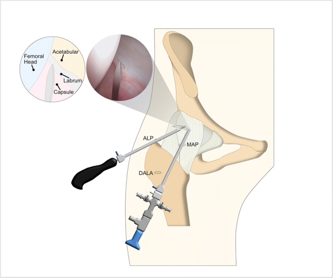 Fig. 4.