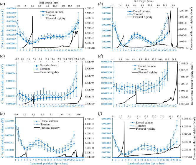 Mean ± 95% CI GPA total landmark variances (S2) computed over 11 sequential frames