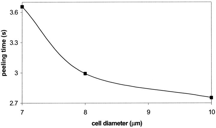 FIGURE 19