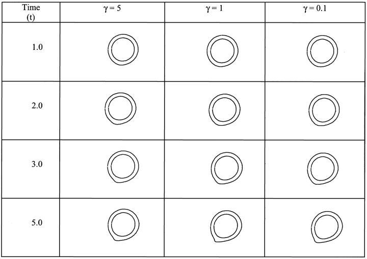 FIGURE 17