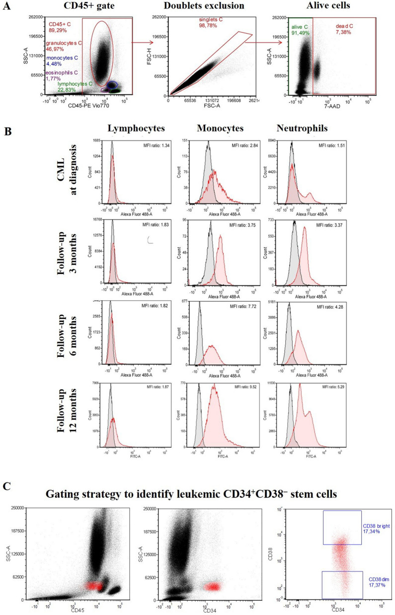 Figure 4