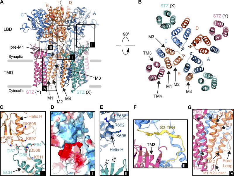 Figure 6.