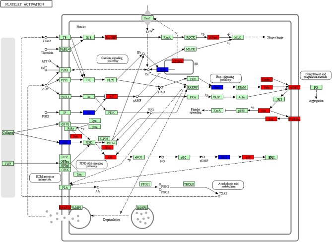 Figure 14