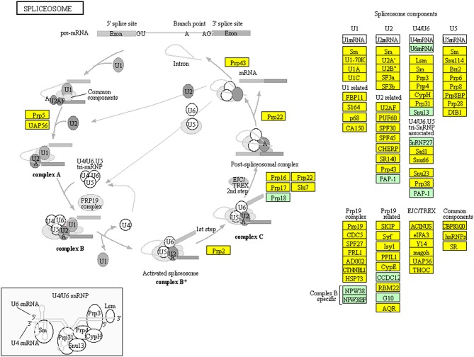 Figure 11