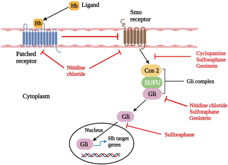 FIGURE 3