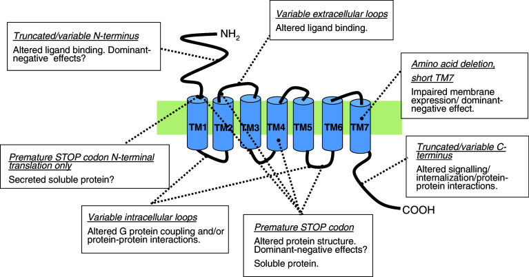 Fig. 2