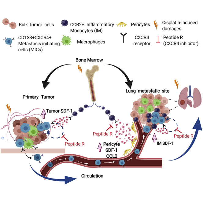 graphic file with name fx1.jpg