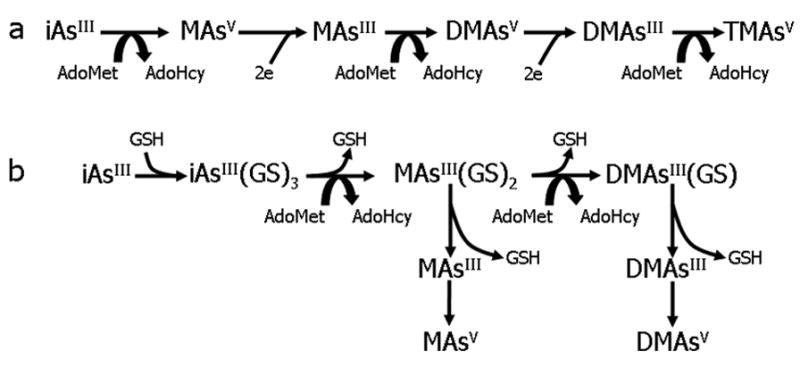 Figure 1.1