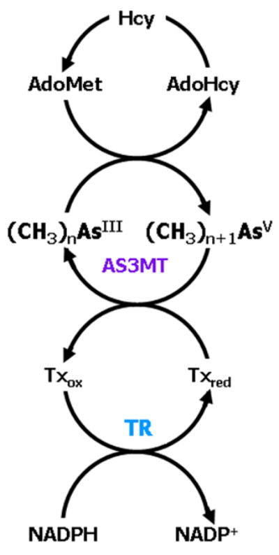 Figure 1.2