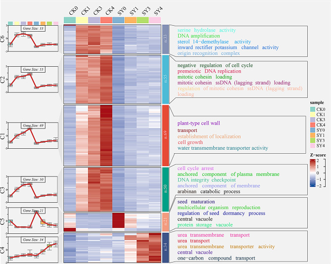 Critical radicle length window governing loss of dehydration tolerance ...