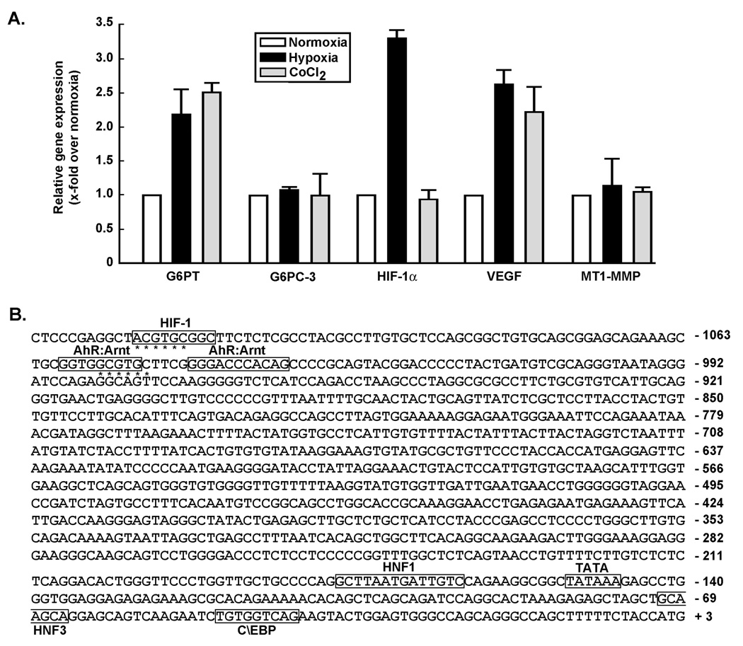 Fig.2