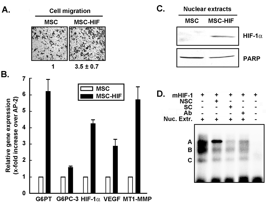 Fig.4