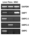 Fig.1