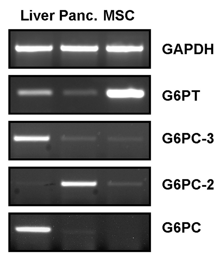 Fig.1