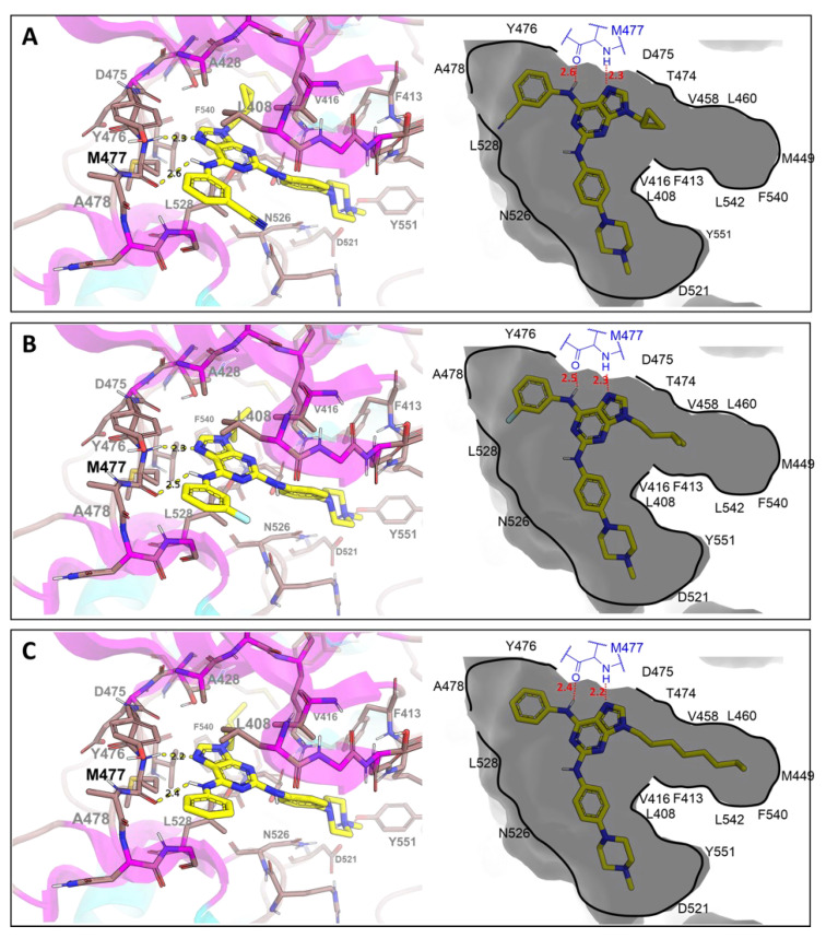 Figure 9