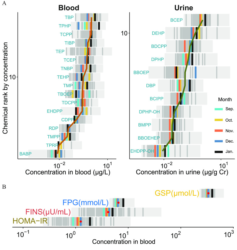 Figure 2A is a set of two graphs titled Blood and Urine, plotting chemical rank by concentration, ranging from 0 to 10 in increments of 10 (y-axis) across concentration in blood (micrograms per liter), ranging as 10 begin superscript negative 2 end subscript and 10 begin superscript negative 1 end subscript and concentration in urine (micrograms per gram creatinine), ranging as 10 begin superscript negative 2 end subscript and 10 begin superscript negative 1 end subscript (x-axis) for T B P, T P H P, T C P P, T I B P, T E P, T C E P, T N B P, T E H P, T M P, T B O E P, T D C P P, E H D P P, C D P P, R D P, T M P P, T P R P, B A B P; and B C E P, D E H P, B D C P P, D P H P, B B O E P, D B P, B C I P P, D P H P-O H, B M P P, B B O E H E P, E H D P P-O H in the months of September to January, respectively. Figure 2B is a graph, plotting a homeostatic model assessment for insulin resistance, fasting insulin (micro units per milliliter), fasting plasma glucose (millimoles per liter), and glycated serum protein (micromoles per liter) (y-axis) across concentration in blood, ranging as 10 begin superscript negative 1 end subscript, 10 begin superscript 0 end subscript, 10 begin superscript 1 end subscript. 10 begin superscript 2 end subscript, and 10 begin superscript 3 end subscript (x-axis).