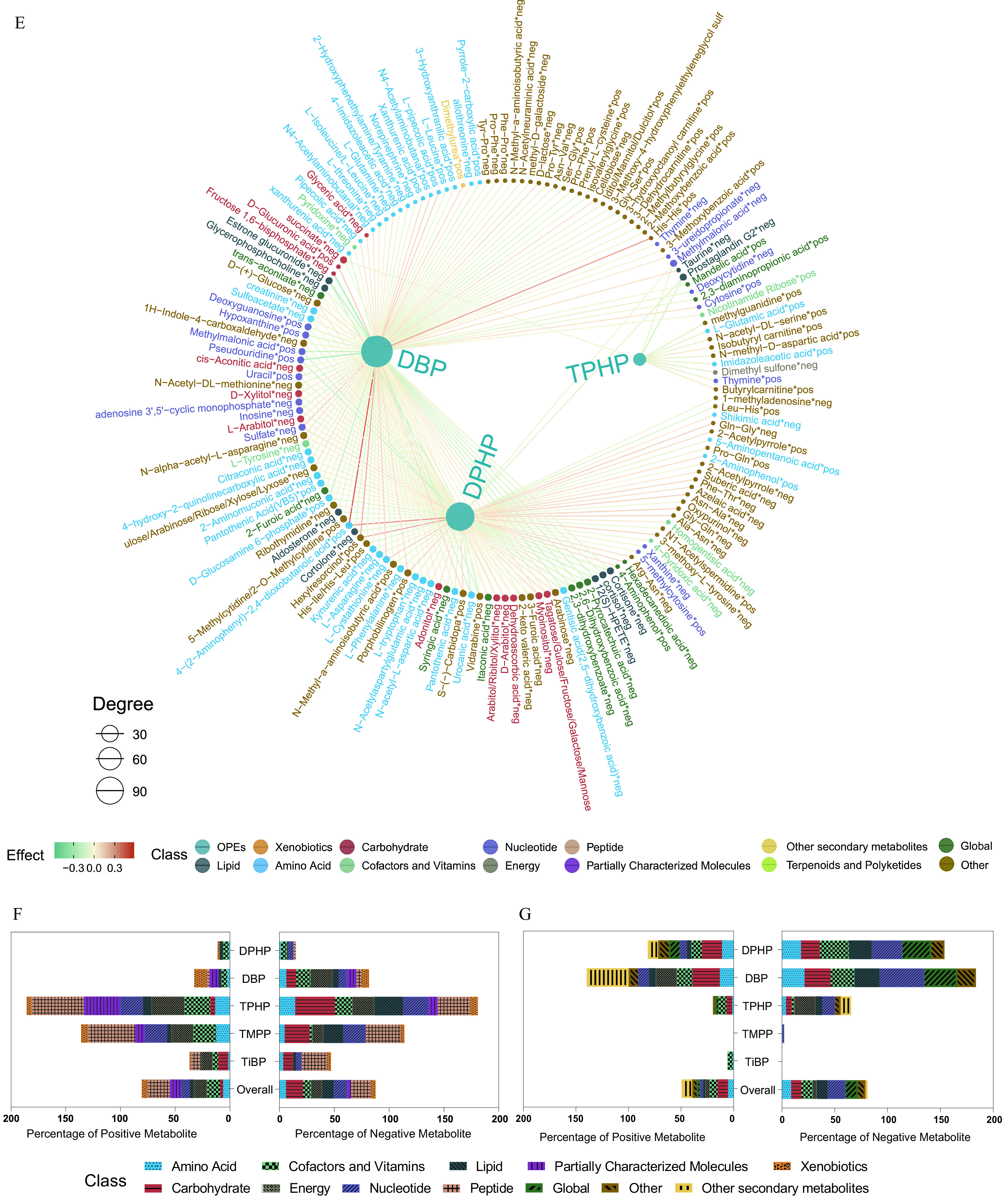 Figure 4A is set of two pie charts. The first pie chart is titled Serum metabolome and displays the following information: Lipid count is 429, amino acid count is 210, xenobiotics count is 153, peptide count is 44, nucleotide count is 39, cofactors and vitamins count is 38, carbohydrate count is 22, partially characterized molecules count is 12, and energy count is 10. The second pie chart is titled Urine metabolome and displays the following information: amino acid count is 239, carbohydrate count is 73, nucleotide count is 59, lipid count is 46, cofactors and vitamins count is 40, global count is 29, other secondary metabolites count is 10, energy count is 5, xenobiotics count is 3, terpenoids and polyketides count is 1, and other count is 444. Figure 4B is a set of five volcano plots titled T I B P, T M P P, T P H P, D B P, and D P H P, plotting negative log 10 of false discovery rate, ranging from 0 to 6 in increments of 2; 0.0 to 10.0 in increments of 2.5; 0 to 20 in increments of 10; 0 to 9 in increments of 3; and 0 to 6 in increments of 2 (y-axis) across percentage changes (percent), ranging from negative 50 to 50 in increments of 25 (x-axis) for positive, negative, and not significant. Figure 4C is a set of five volcano plots titled T I B P, T M P P, T P H P, D B P, and D P H P, plotting negative log 10 of false discovery rate, ranging from 0 to 5 in unit increments; 0 to 5 in unit increments; 0 to 6 in increments of 2; 0 to 9 in increments of 3; and 0.0 to 7.5 in increments of 2.5 (y-axis) across percentage changes (percent), ranging from negative 50 to 50 in increments of 25 (x-axis) for positive, negative, and not significant. Figure 4D is a network diagram depicting the association between exposure to the key organophosphate esters, including T P H P, T M P P, D P H P, T I B P, and D B P, and the serum or urine metabolome. The size of the node represents the degree, including 40, 80, 120, and 160, of the exposure–metabolite connection, and the shade of the edge represents the coefficient estimate of the exposure–metabolite association. The scale depicts effects ranging from negative 0.3 to 0.3 in increments of 0.3. The class includes organophosphate esters, xenobiotics, carbohydrate, nucleotide, peptide, other secondary metabolites, global, lipid, amino acid, cofactors and vitamins, energy, partially characterized molecules, terpenoids and polyketides, and other. Figure 4E is a network diagram depicting the association between exposure to the key organophosphate esters, including T P H P, D P H P, and D B P, and the serum or urine metabolome. The size of the node represents the degree, including 30, 60, 90, of the exposure–metabolite connection, and the shade of the edge represents the coefficient estimate of the exposure–metabolite association. The scale depicts effects ranging from negative 0.3 to 0.3 in increments of 0.3. The class includes organophosphate esters, xenobiotics, carbohydrate, nucleotide, peptide, other secondary metabolites, global, lipid, amino acid, cofactors and vitamins, energy, partially characterized molecules, terpenoids and polyketides, and other. Figures 4F and 4G, each are a set of two horizontal stacked bar graphs, Overall, T i B P, T M P P, T P H P, D B P, D P H P (y-axis) across percentage of positive metabolite, ranging from 200 to 0 in decrements of 50 and percentage of negative metabolite, ranging from 0 to 200 in increments of 50 (x-axis) for class, including Amino Acid, Cofactors and Vitamins, Lipid, Partially Characterized Molecules, Xenobiotics, Carbohydrate, Energy, Nucleotide, Peptide, Global, Other, and Other secondary metabolites.