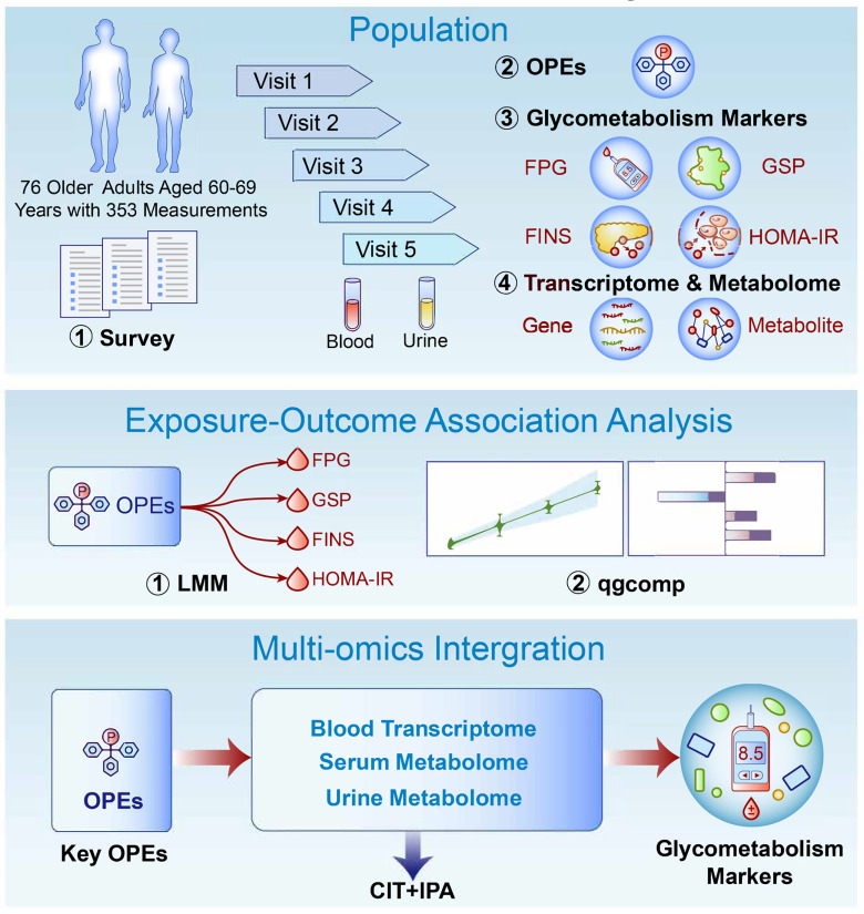 Figure 1 is an illustration with three parts. On the top, the illustration is titled Population and has four steps. Step 1: Under Survey, there are 72 older adults aged 60 to 69 years with 353 measurements. From visits 1 to 5, blood and urine samples were collected. Step 2: organophosphate esters Step 3: Glycometabolism markers, including fasting plasma glucose, glycated serum protein, fasting insulin, and homeostatic model assessment for insulin resistance. Step 4: Transcriptome and metabolome, including genes and metabolites. In the middle, the illustration is titled Exposure–Outcome Association Analysis and has two steps. Step 1: Linear mixed-effects model: organophosphate esters include fasting plasma glucose, glycated serum protein, fasting insulin, and homeostatic model assessment for insulin resistance. Step 2: Quantile g-computation At the bottom, the illustration titled Multi-omics Integration has three steps. Step 1: Key organophosphate esters Step 2: The blood transcriptome, serum metabolome, and urine metabolome lead to causal inference tests plus Ingenuity Pathway Analysis. Step 3: Glycometabolism markers.