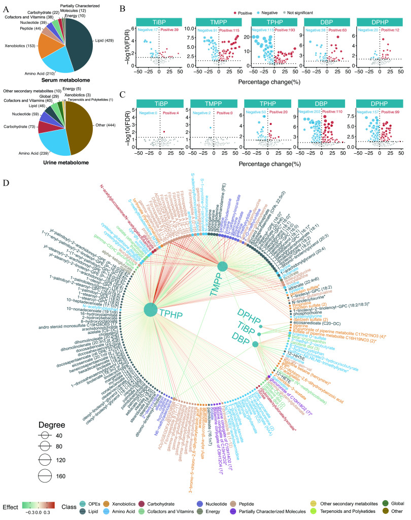 Figure 4A is set of two pie charts. The first pie chart is titled Serum metabolome and displays the following information: Lipid count is 429, amino acid count is 210, xenobiotics count is 153, peptide count is 44, nucleotide count is 39, cofactors and vitamins count is 38, carbohydrate count is 22, partially characterized molecules count is 12, and energy count is 10. The second pie chart is titled Urine metabolome and displays the following information: amino acid count is 239, carbohydrate count is 73, nucleotide count is 59, lipid count is 46, cofactors and vitamins count is 40, global count is 29, other secondary metabolites count is 10, energy count is 5, xenobiotics count is 3, terpenoids and polyketides count is 1, and other count is 444. Figure 4B is a set of five volcano plots titled T I B P, T M P P, T P H P, D B P, and D P H P, plotting negative log 10 of false discovery rate, ranging from 0 to 6 in increments of 2; 0.0 to 10.0 in increments of 2.5; 0 to 20 in increments of 10; 0 to 9 in increments of 3; and 0 to 6 in increments of 2 (y-axis) across percentage changes (percent), ranging from negative 50 to 50 in increments of 25 (x-axis) for positive, negative, and not significant. Figure 4C is a set of five volcano plots titled T I B P, T M P P, T P H P, D B P, and D P H P, plotting negative log 10 of false discovery rate, ranging from 0 to 5 in unit increments; 0 to 5 in unit increments; 0 to 6 in increments of 2; 0 to 9 in increments of 3; and 0.0 to 7.5 in increments of 2.5 (y-axis) across percentage changes (percent), ranging from negative 50 to 50 in increments of 25 (x-axis) for positive, negative, and not significant. Figure 4D is a network diagram depicting the association between exposure to the key organophosphate esters, including T P H P, T M P P, D P H P, T I B P, and D B P, and the serum or urine metabolome. The size of the node represents the degree, including 40, 80, 120, and 160, of the exposure–metabolite connection, and the shade of the edge represents the coefficient estimate of the exposure–metabolite association. The scale depicts effects ranging from negative 0.3 to 0.3 in increments of 0.3. The class includes organophosphate esters, xenobiotics, carbohydrate, nucleotide, peptide, other secondary metabolites, global, lipid, amino acid, cofactors and vitamins, energy, partially characterized molecules, terpenoids and polyketides, and other. Figure 4E is a network diagram depicting the association between exposure to the key organophosphate esters, including T P H P, D P H P, and D B P, and the serum or urine metabolome. The size of the node represents the degree, including 30, 60, 90, of the exposure–metabolite connection, and the shade of the edge represents the coefficient estimate of the exposure–metabolite association. The scale depicts effects ranging from negative 0.3 to 0.3 in increments of 0.3. The class includes organophosphate esters, xenobiotics, carbohydrate, nucleotide, peptide, other secondary metabolites, global, lipid, amino acid, cofactors and vitamins, energy, partially characterized molecules, terpenoids and polyketides, and other. Figures 4F and 4G, each are a set of two horizontal stacked bar graphs, Overall, T i B P, T M P P, T P H P, D B P, D P H P (y-axis) across percentage of positive metabolite, ranging from 200 to 0 in decrements of 50 and percentage of negative metabolite, ranging from 0 to 200 in increments of 50 (x-axis) for class, including Amino Acid, Cofactors and Vitamins, Lipid, Partially Characterized Molecules, Xenobiotics, Carbohydrate, Energy, Nucleotide, Peptide, Global, Other, and Other secondary metabolites.