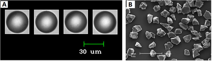 Fig. 11