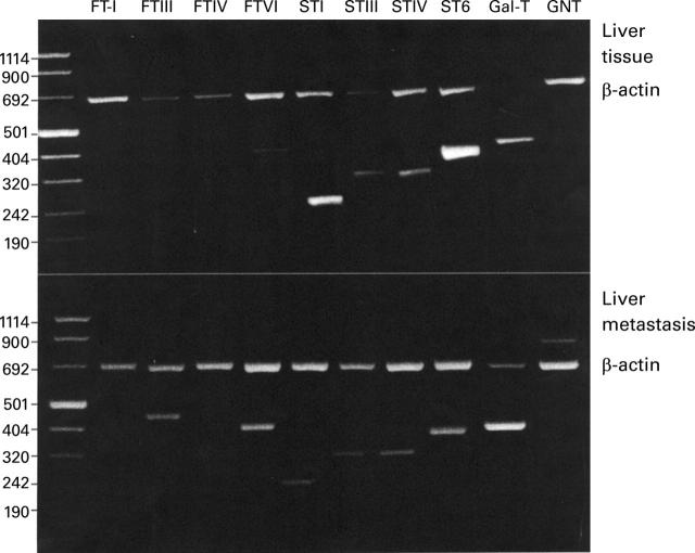 Figure 2  