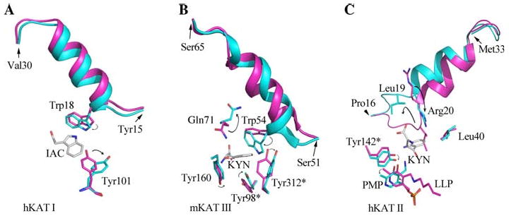 Fig. 7