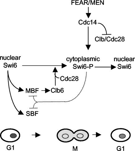 FIG. 7.