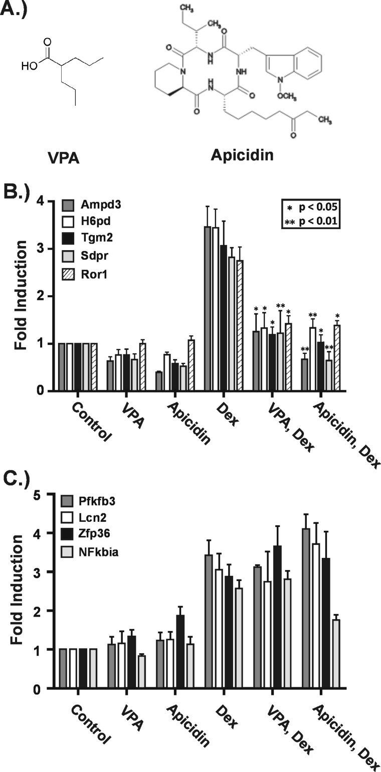 FIGURE 4.