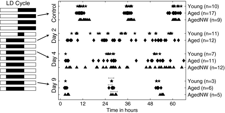 Fig. 10