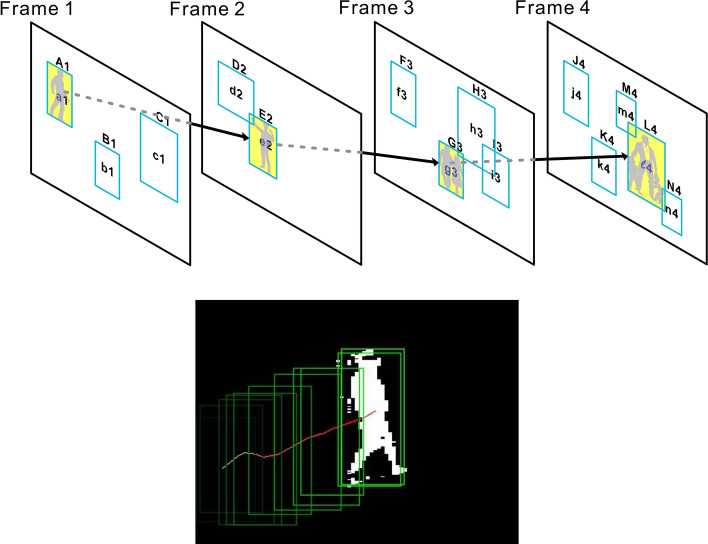 Figure 9