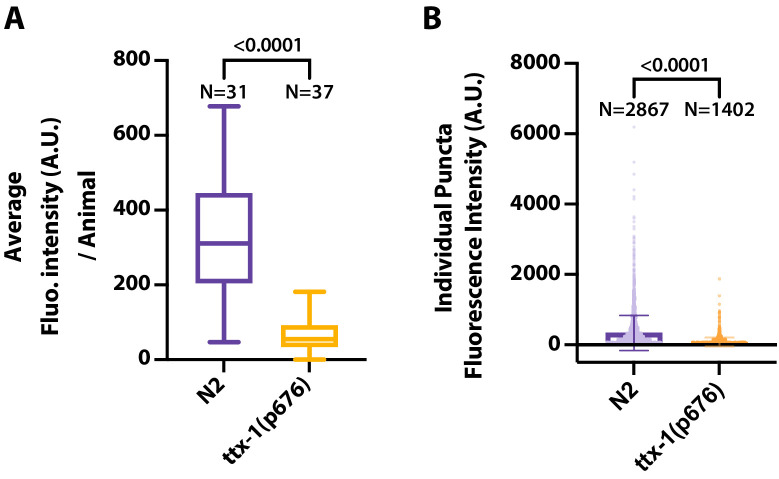 Figure 6—figure supplement 1.