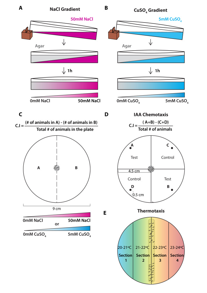 Figure 8—figure supplement 1.