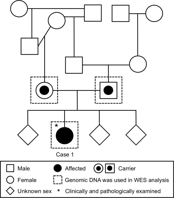 Fig 1