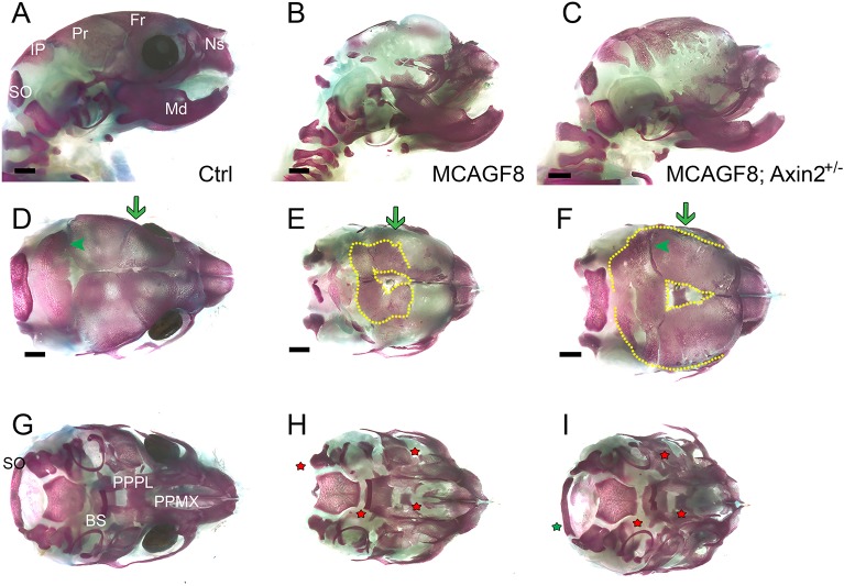 Fig. 8.
