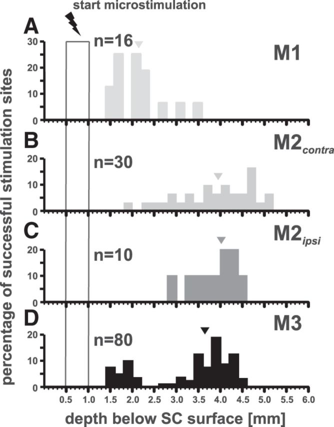 Figure 11.