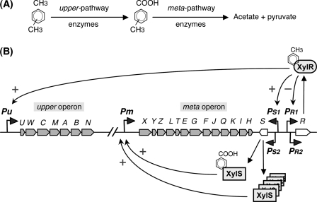 FIGURE 1.