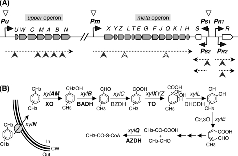 FIGURE 7.